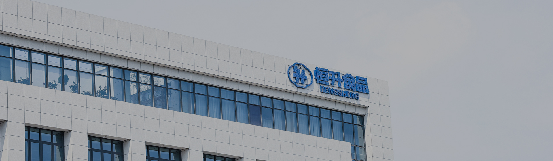 恒升(新鄉)食品有限公司